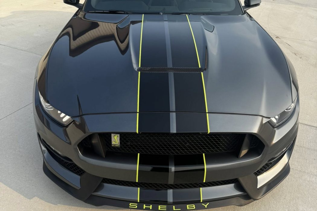 535550942_752085951136314_9160664371912486138_n